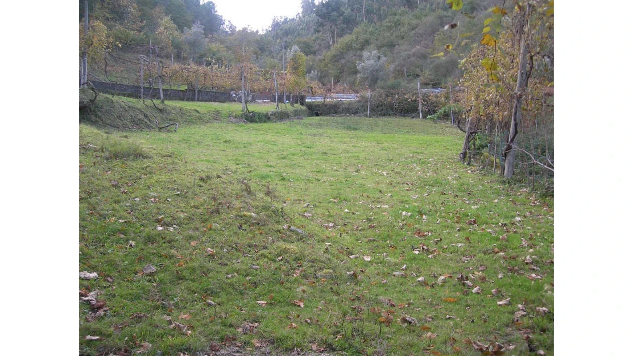 Terreno para Venda em Rio Longo Poente Foto 3