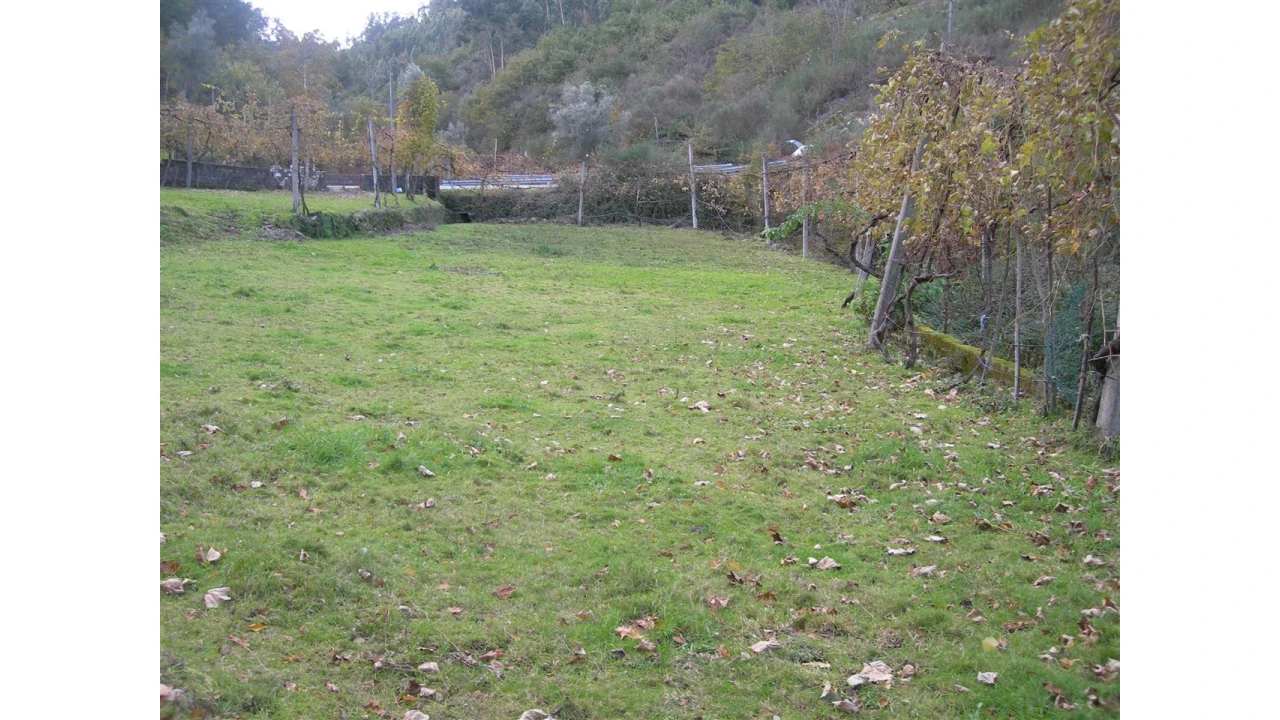 Terreno para Venda em Rio Longo Poente Foto 7