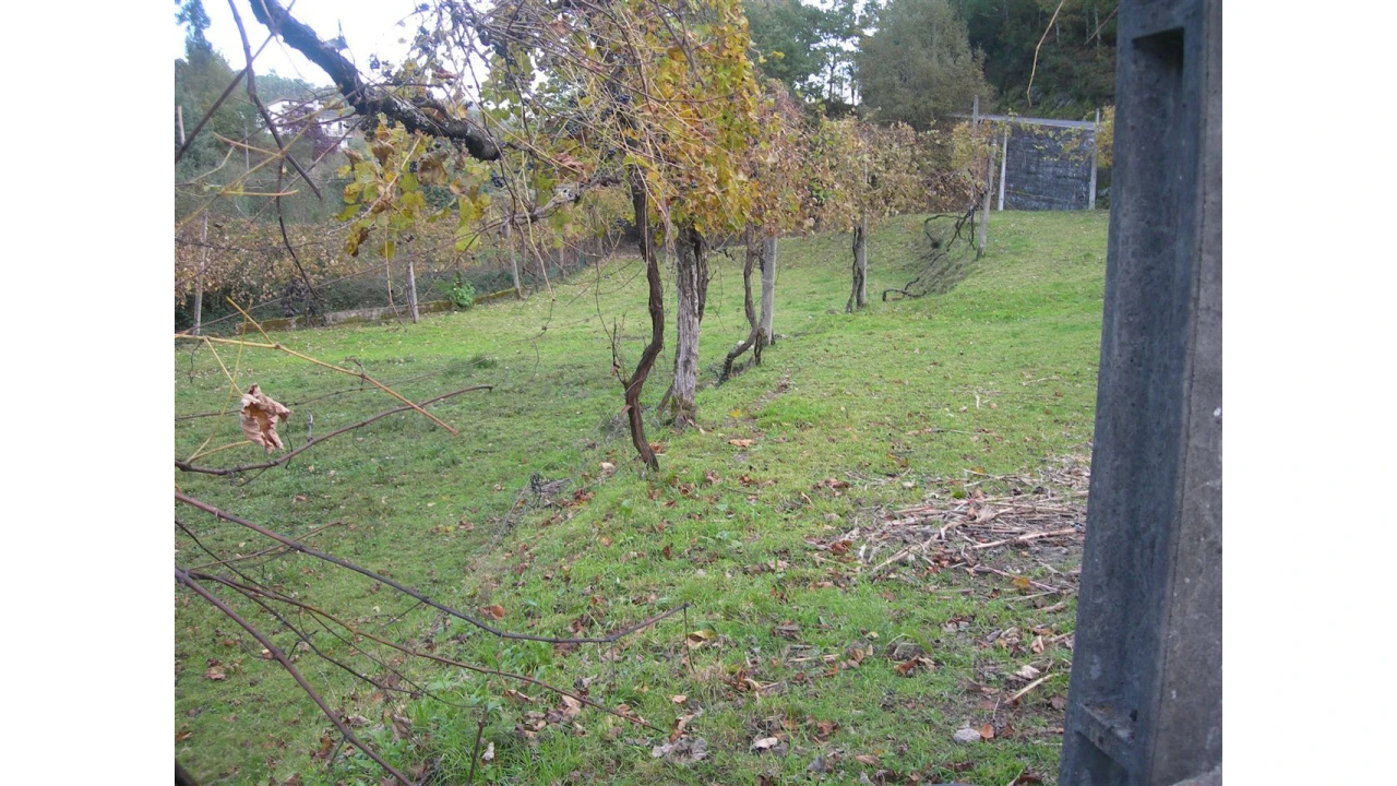 Terreno para Venda em Rio Longo Poente Foto 8