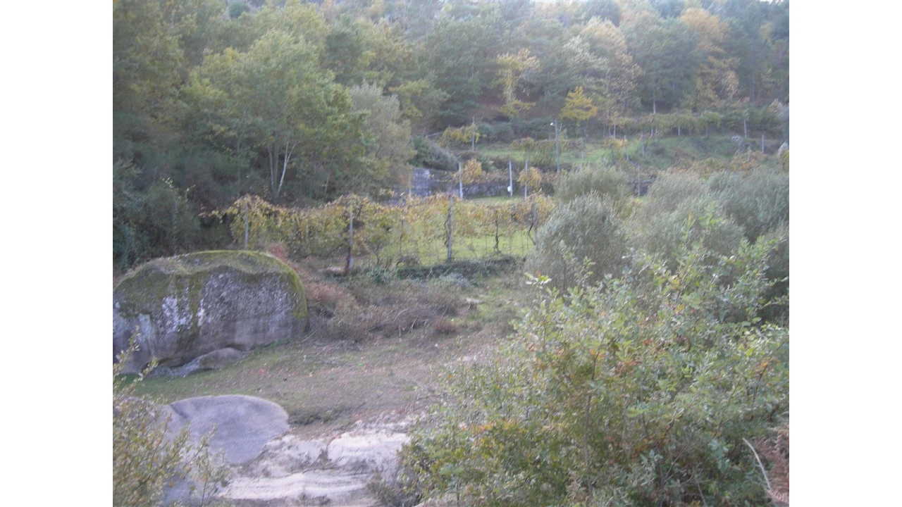 Terreno para Venda em Rio Longo Poente Foto 16