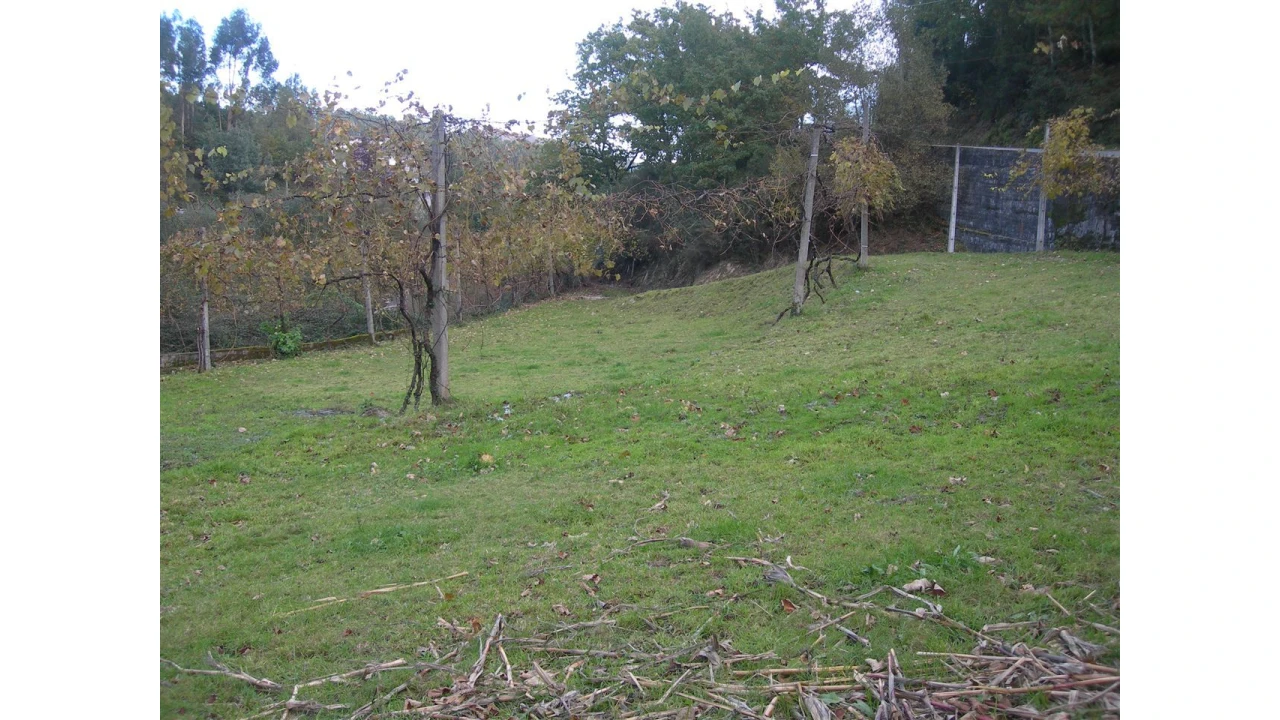 Terreno para Venda em Rio Longo Poente Foto 9