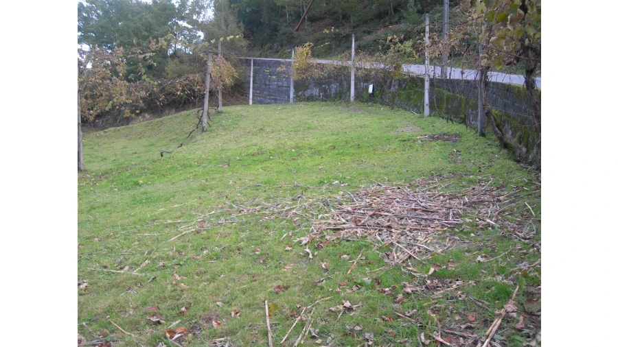 Terreno para Venda em Rio Longo Poente Foto 1