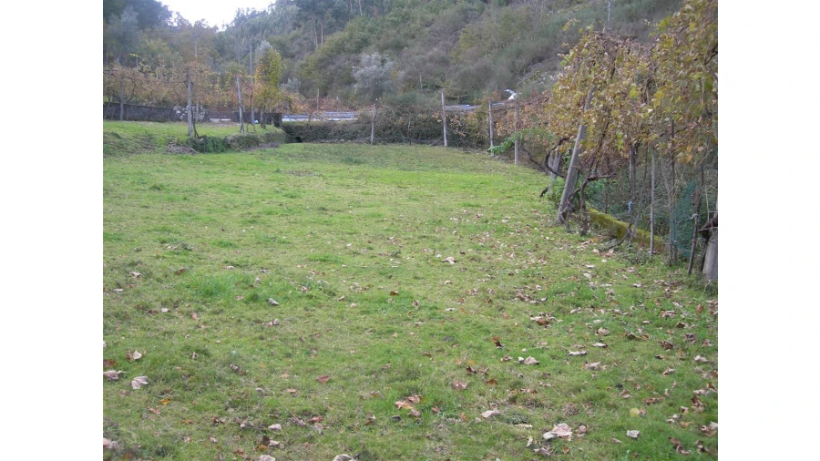 Terreno para Venda em Rio Longo Poente Foto 7