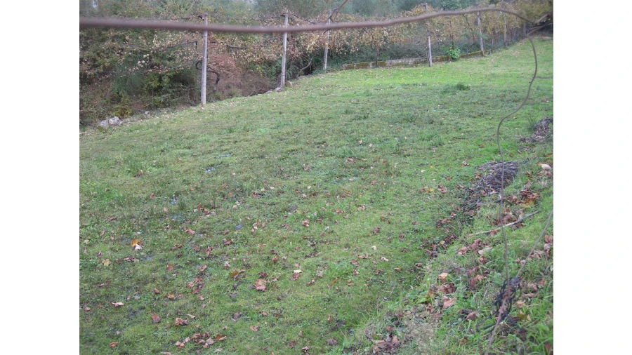 Terreno para Venda em Rio Longo Poente Foto 6