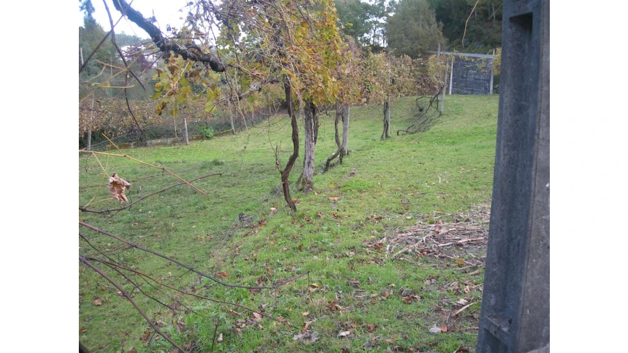 Terreno para Venda em Rio Longo Poente Foto 8
