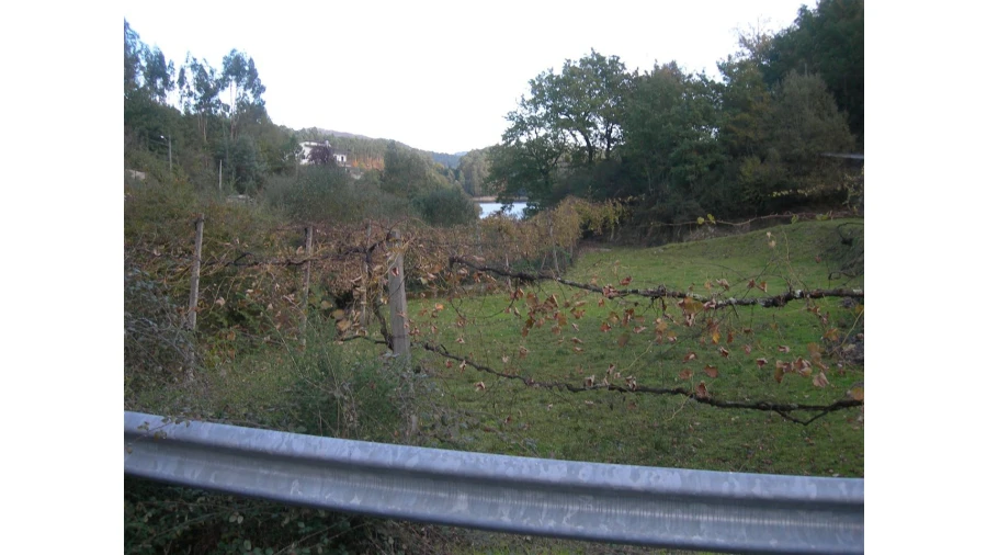 Terreno para Venda em Rio Longo Poente Foto 13