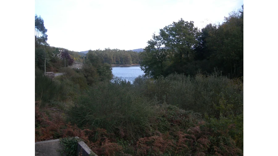 Terreno para Venda em Rio Longo Poente Foto 14