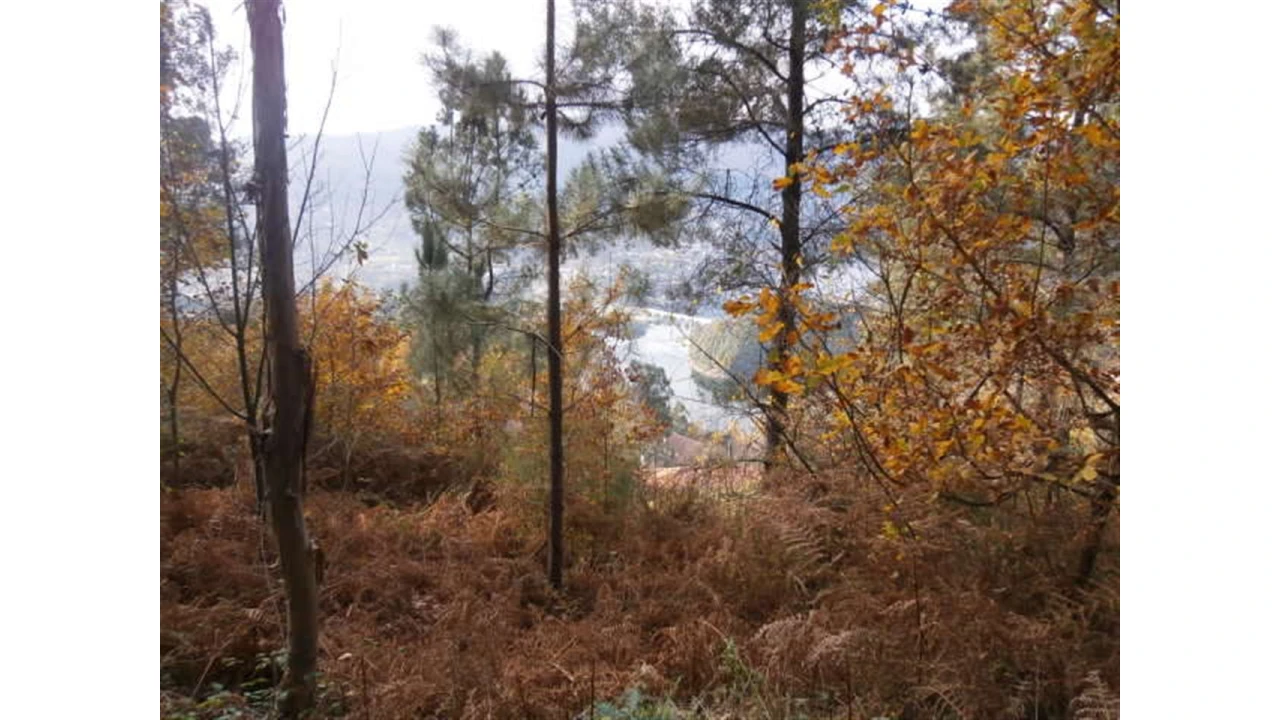 Terreno para Venda em Quintães Foto 2