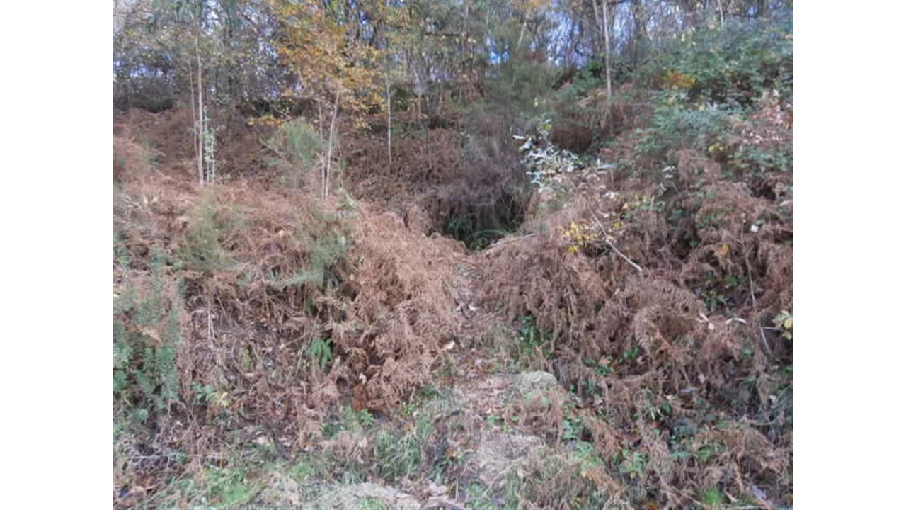 Terreno para Venda em Quintães Foto 3