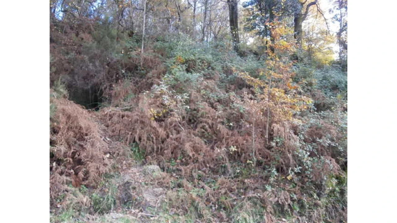 Terreno para Venda em Quintães Foto 6