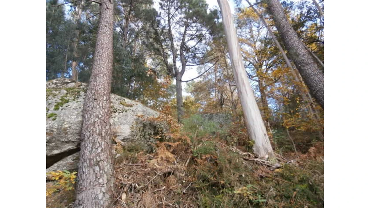 Terreno para Venda em Quintães Foto 7
