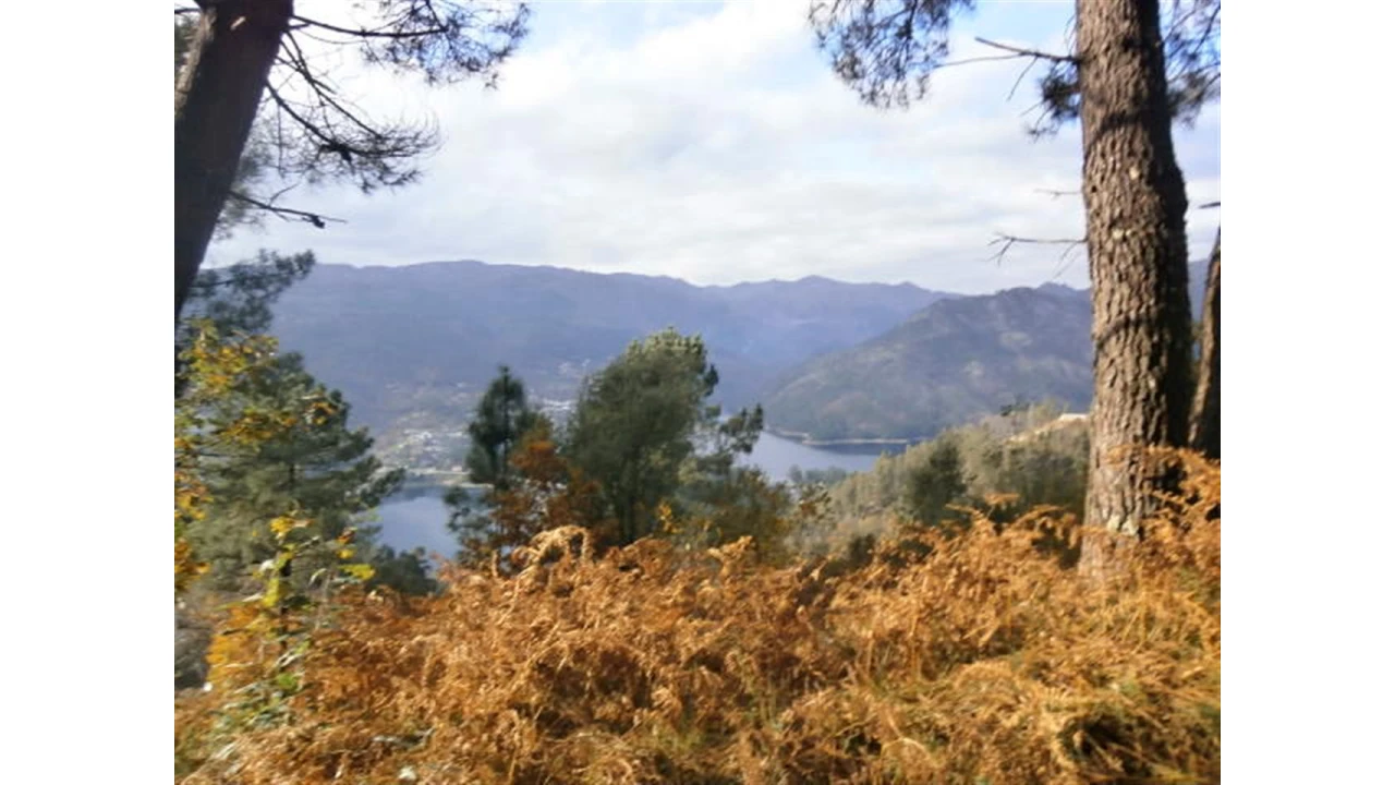 Terreno para Venda em Quintães Foto 14