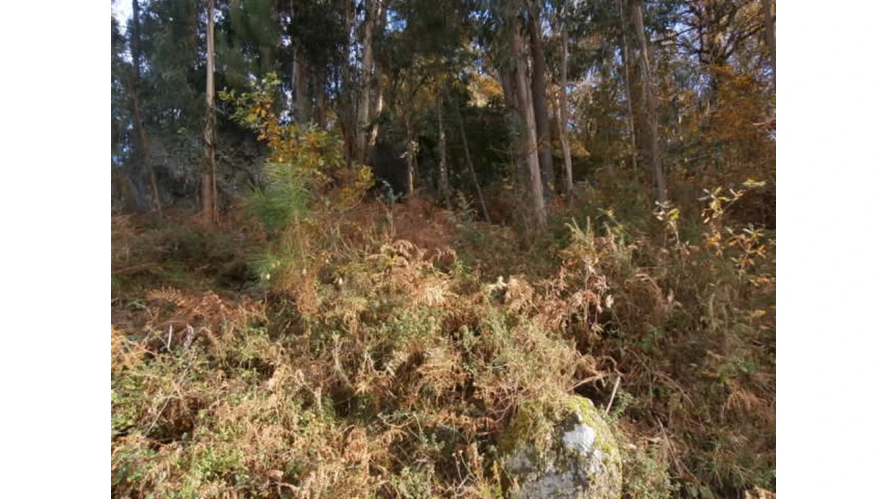 Terreno para Venda em Quintães Foto 10