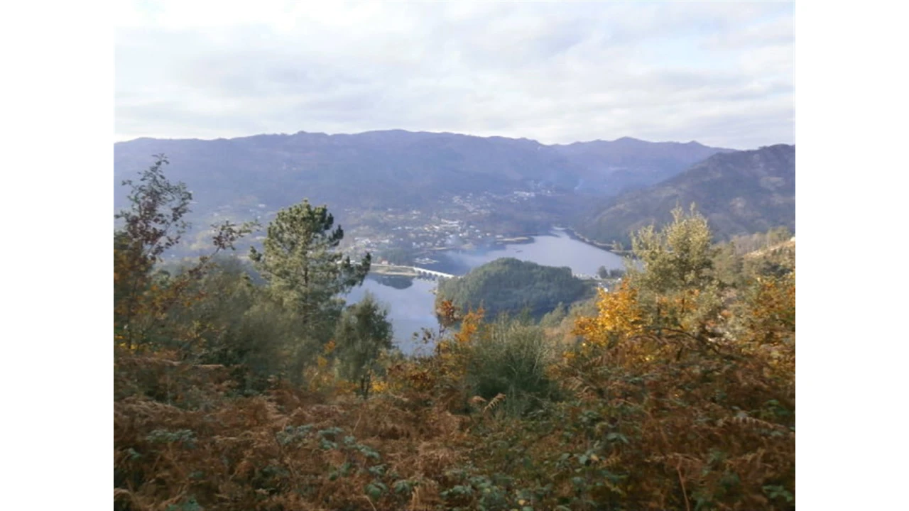 Terreno para Venda em Quintães Foto 13