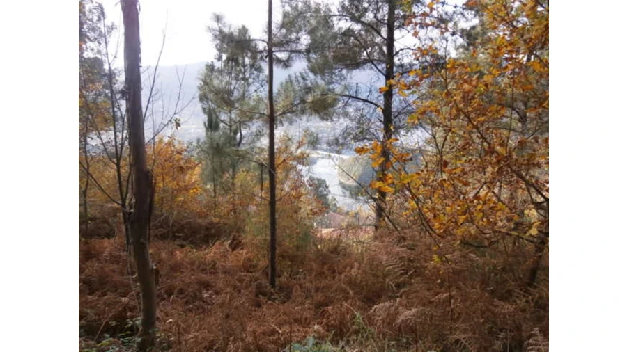 Terreno para Venda em Quintães Foto 2