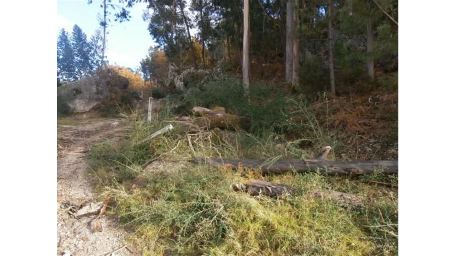 Terreno para Venda em Quintães Foto 12