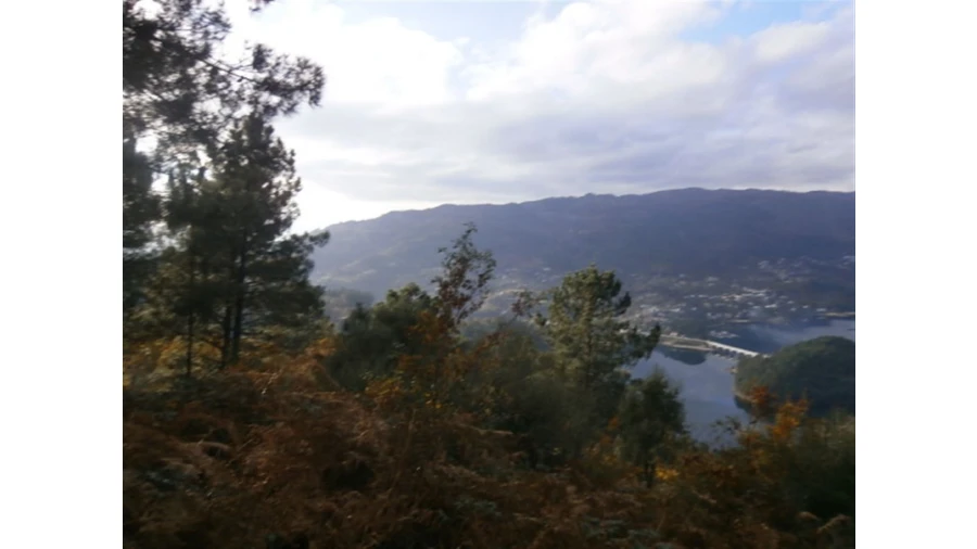 Terreno para Venda em Quintães Foto 16