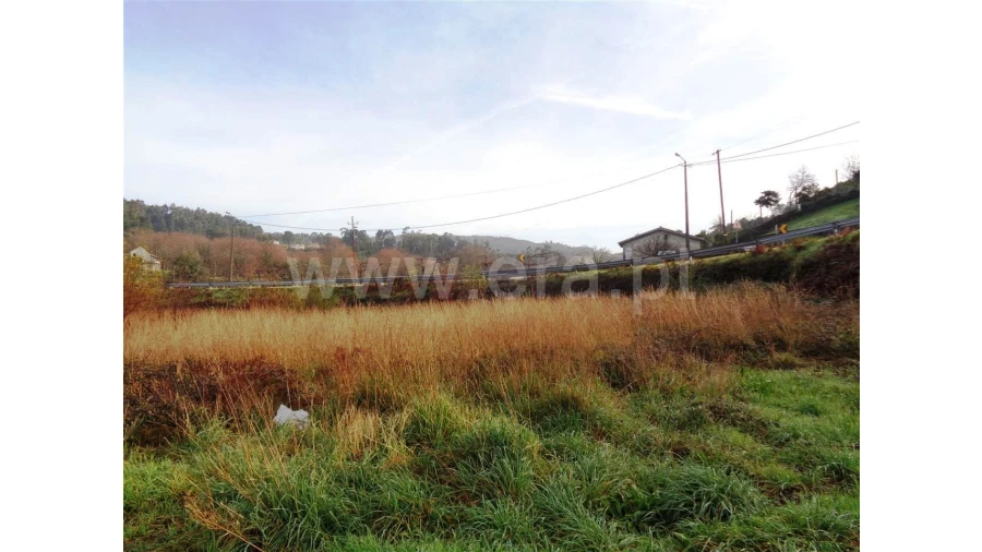 Terreno para Venda em Fontarcada Foto 4