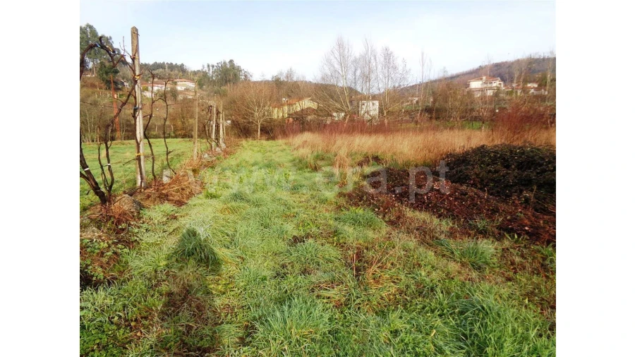 Terreno para Venda em Fontarcada Foto 5