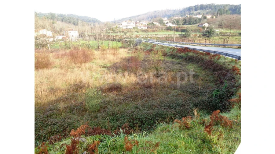 Terreno para Venda em Fontarcada Foto 8
