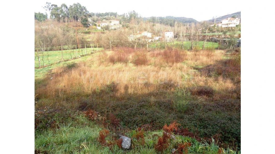 Terreno para Venda em Fontarcada Foto 9