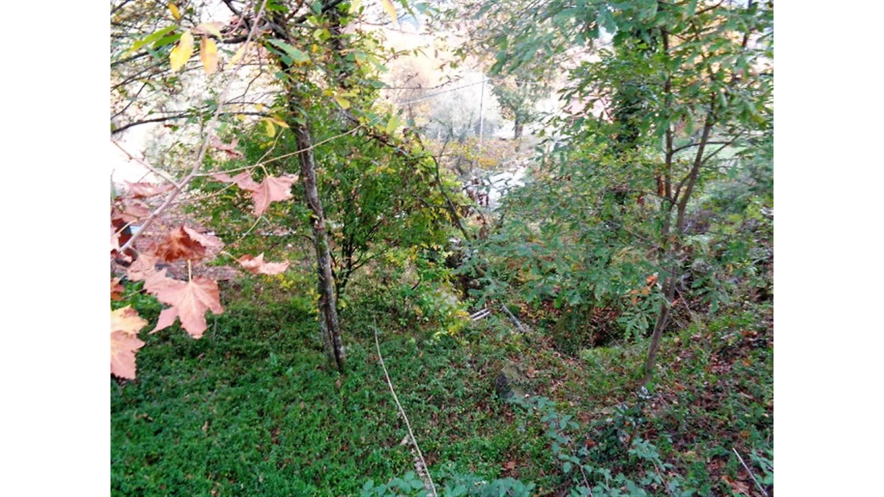 Moradia para Venda em Eira Vedra Foto 12