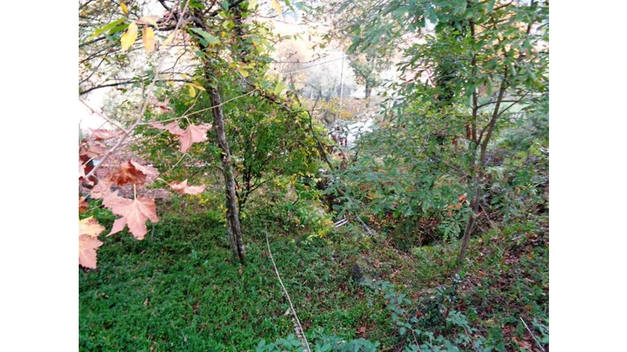 Moradia para Venda em Eira Vedra Foto 12