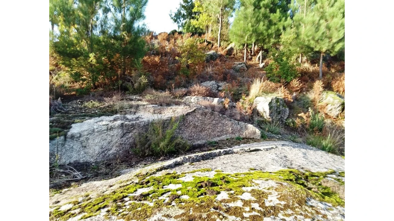 Terreno para Venda em Covelo de Cima Foto 2
