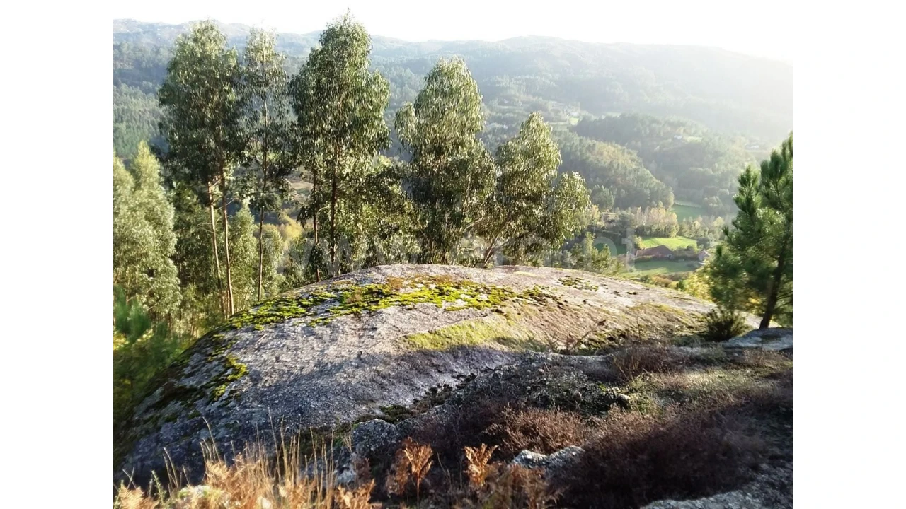 Terreno para Venda em Covelo de Cima Foto 3