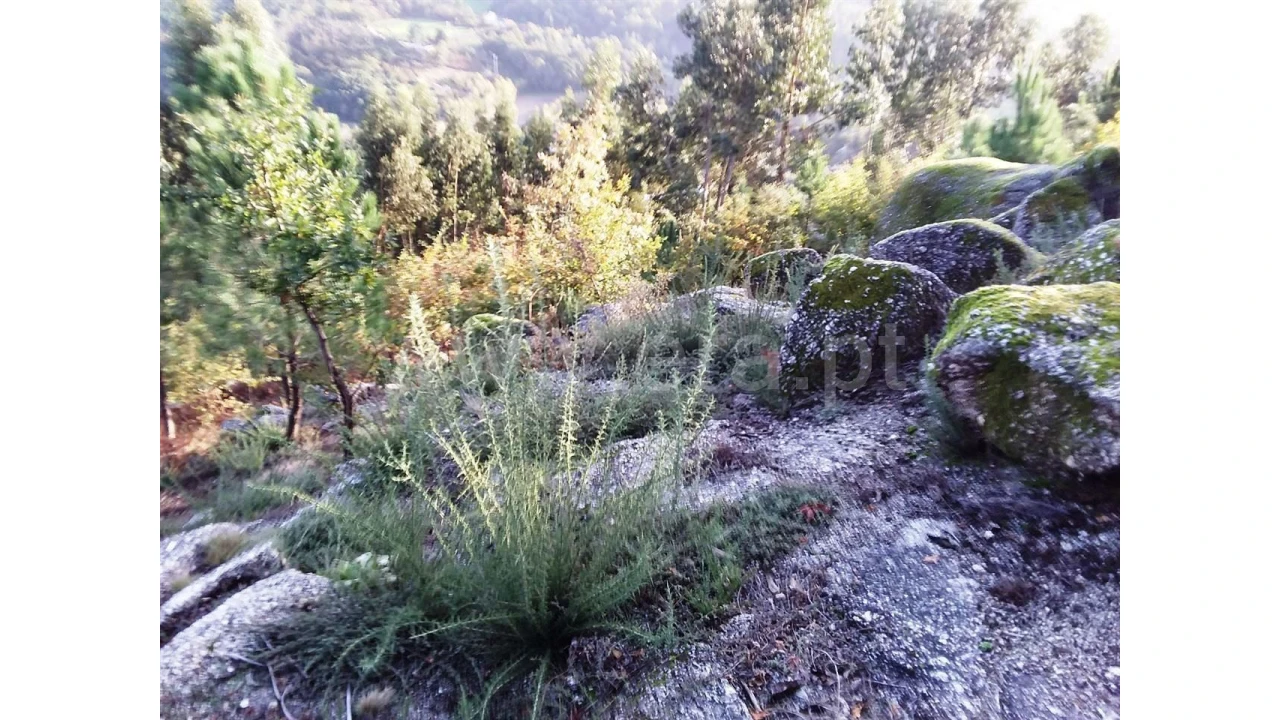 Terreno para Venda em Covelo de Cima Foto 4