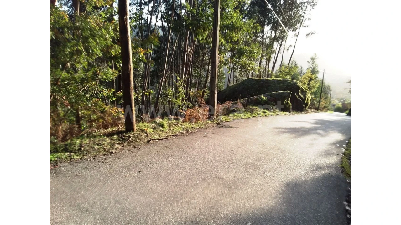 Terreno para Venda em Covelo de Cima Foto 5