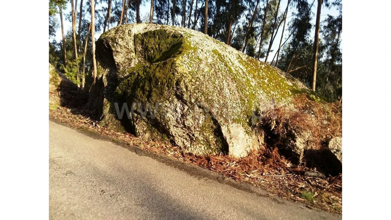 Terreno para Venda em Covelo de Cima Foto 7