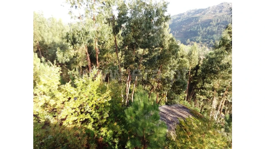 Terreno para Venda em Covelo de Cima Foto 1