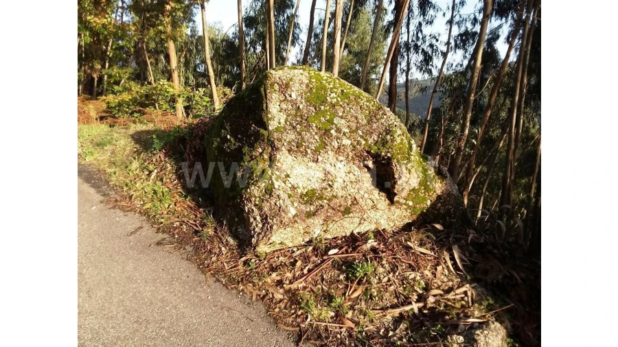Terreno para Venda em Covelo de Cima Foto 6