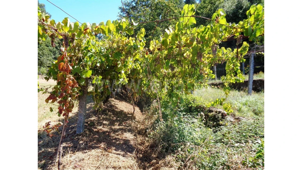 Terreno para Venda em Monsul Foto 10