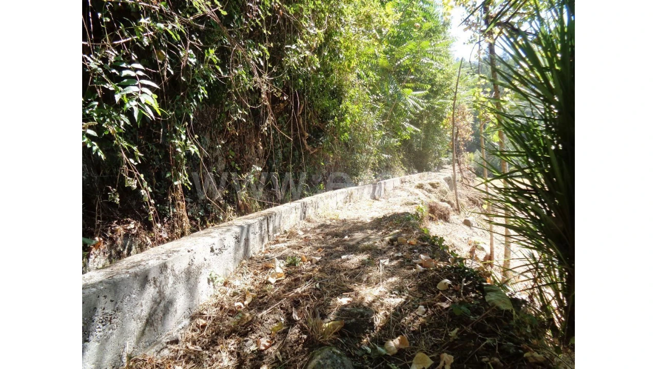 Terreno para Venda em Monsul Foto 11