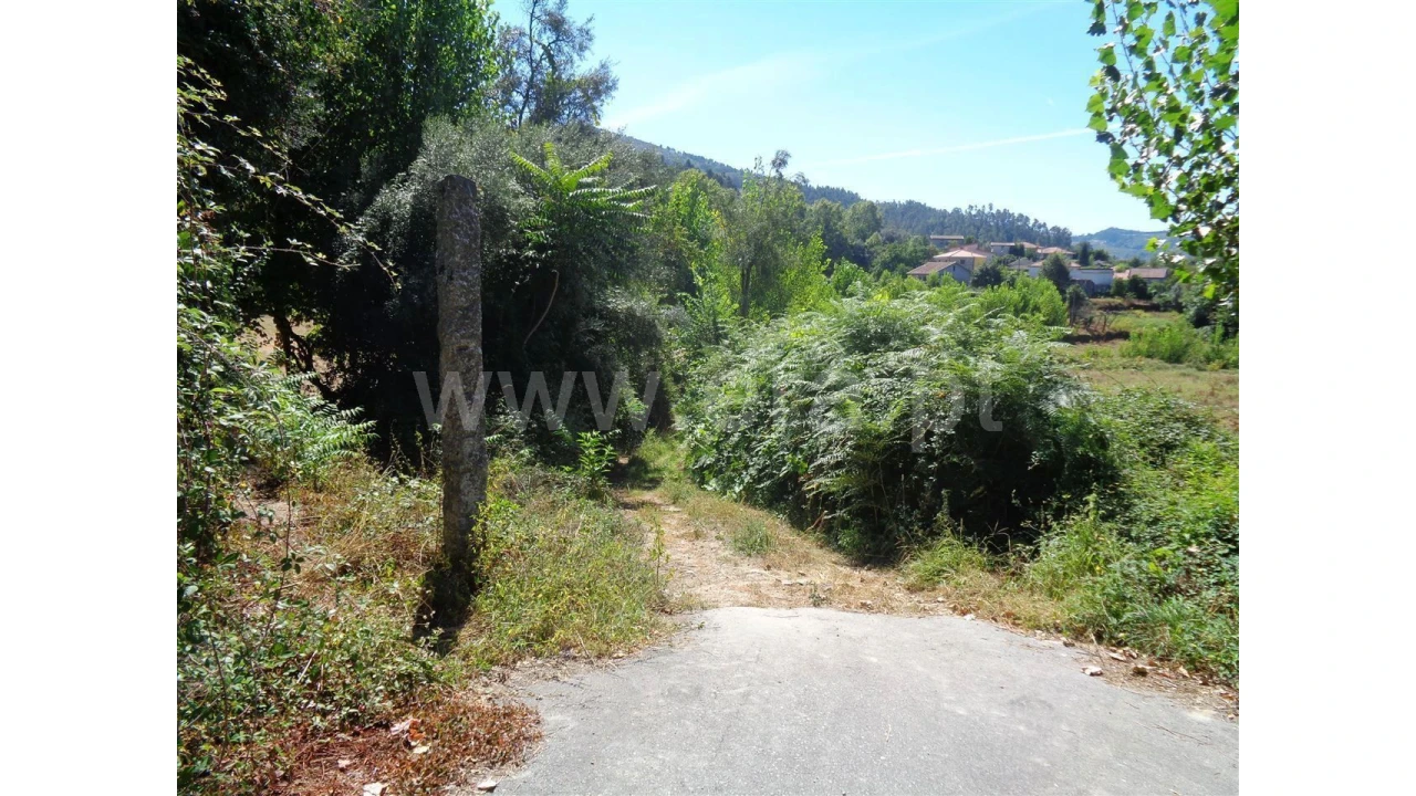 Terreno para Venda em Monsul Foto 15