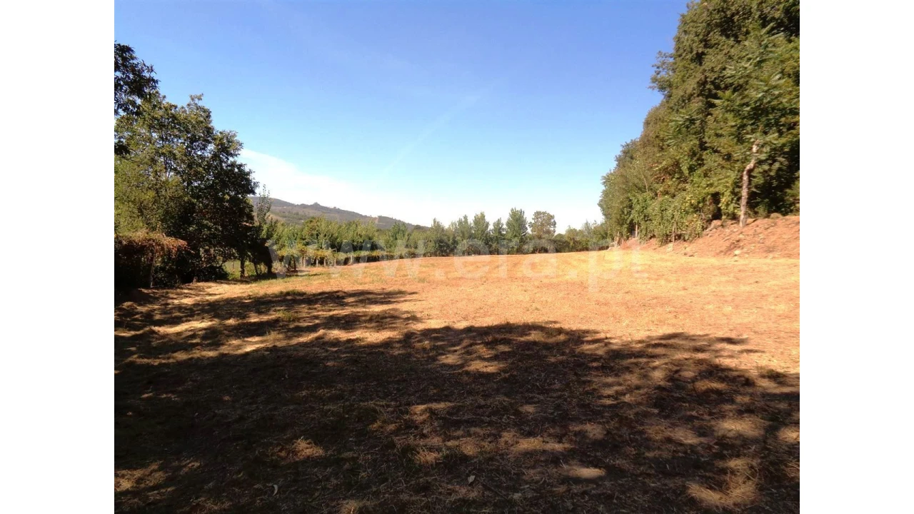 Terreno para Venda em Monsul Foto 16