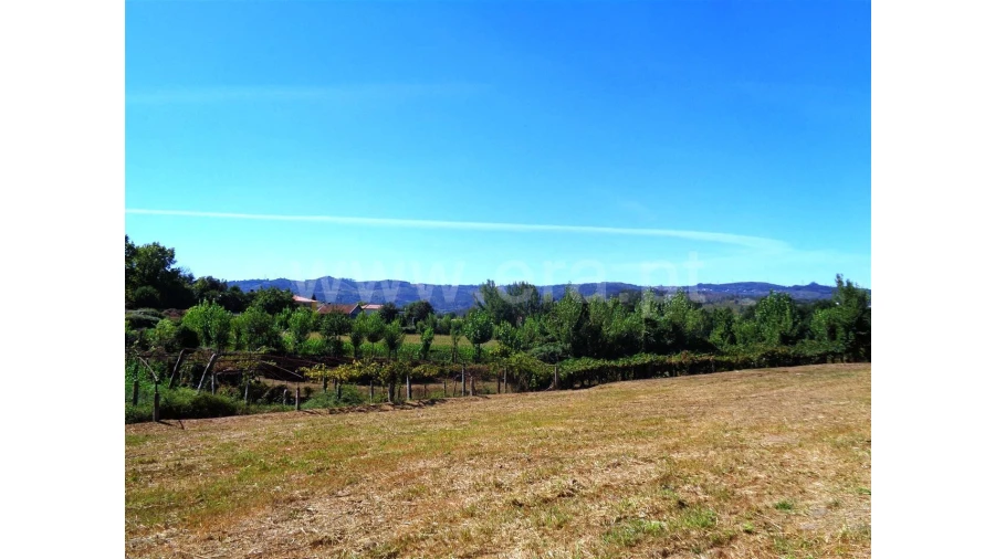 Terreno para Venda em Monsul Foto 4