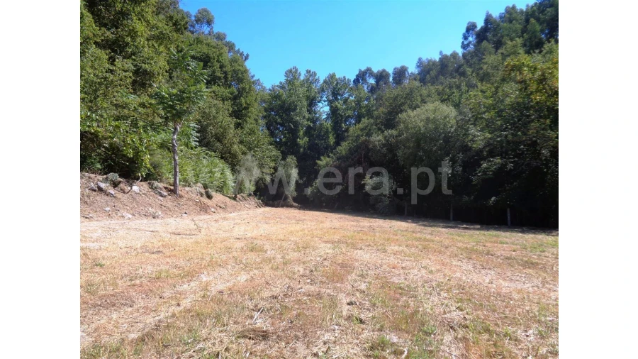 Terreno para Venda em Monsul Foto 6