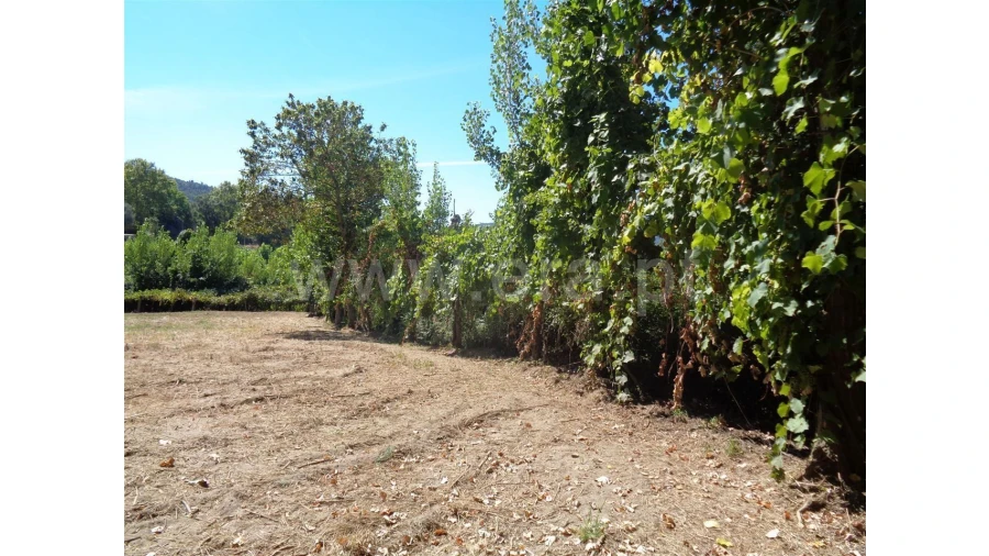 Terreno para Venda em Monsul Foto 7