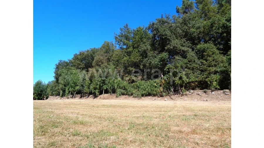 Terreno para Venda em Monsul Foto 5