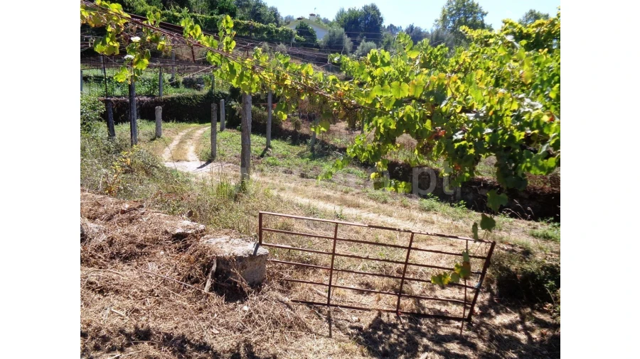 Terreno para Venda em Monsul Foto 9