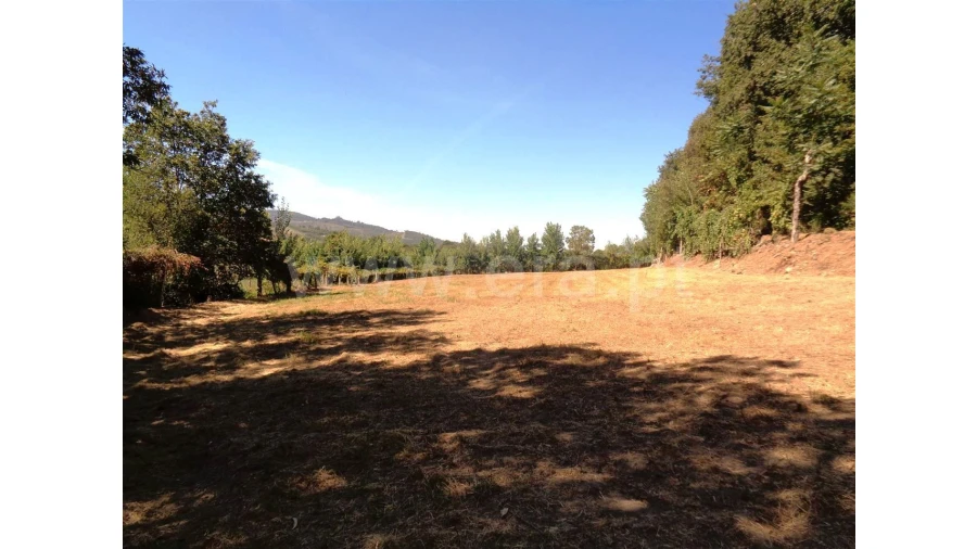 Terreno para Venda em Monsul Foto 16