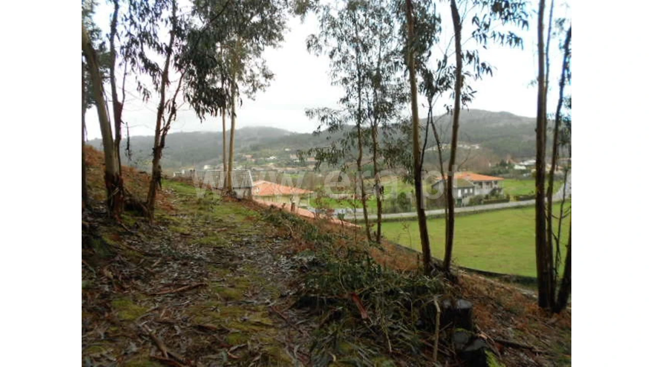 Terreno para Venda em Anissó Foto 9