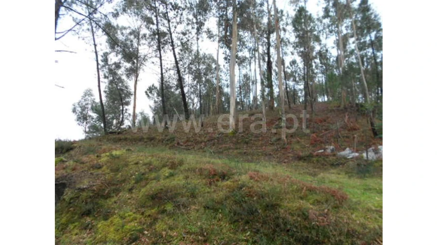 Terreno para Venda em Anissó