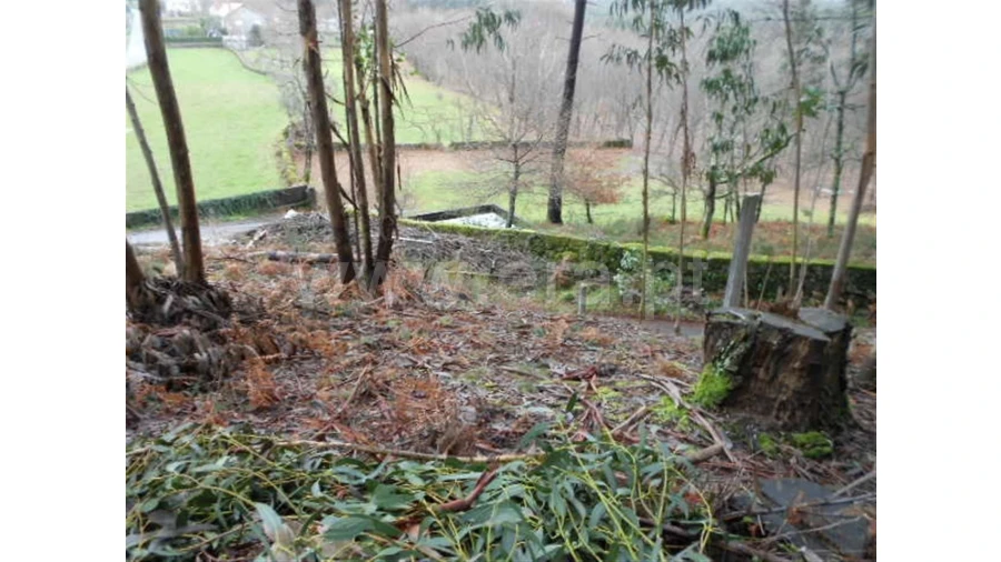 Terreno para Venda em Anissó Foto 10