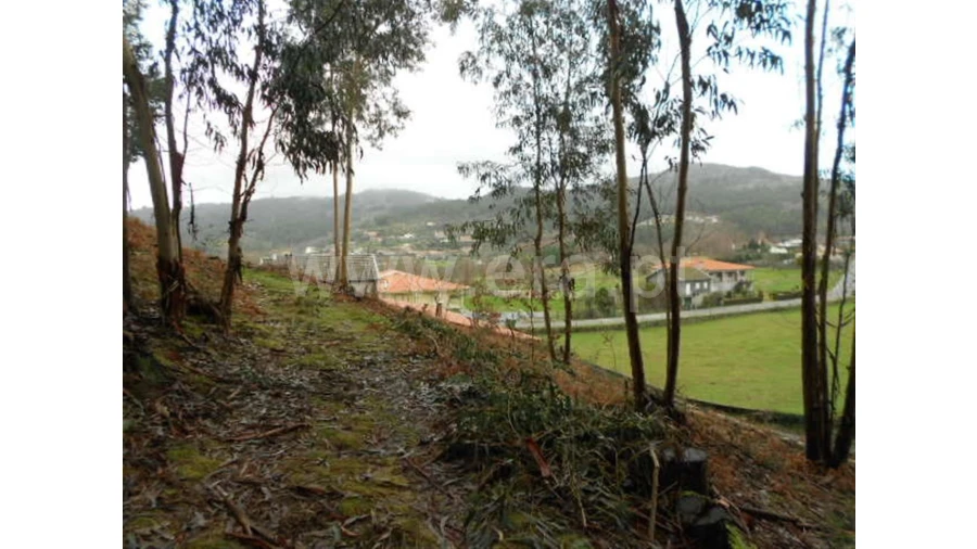 Terreno para Venda em Anissó Foto 9