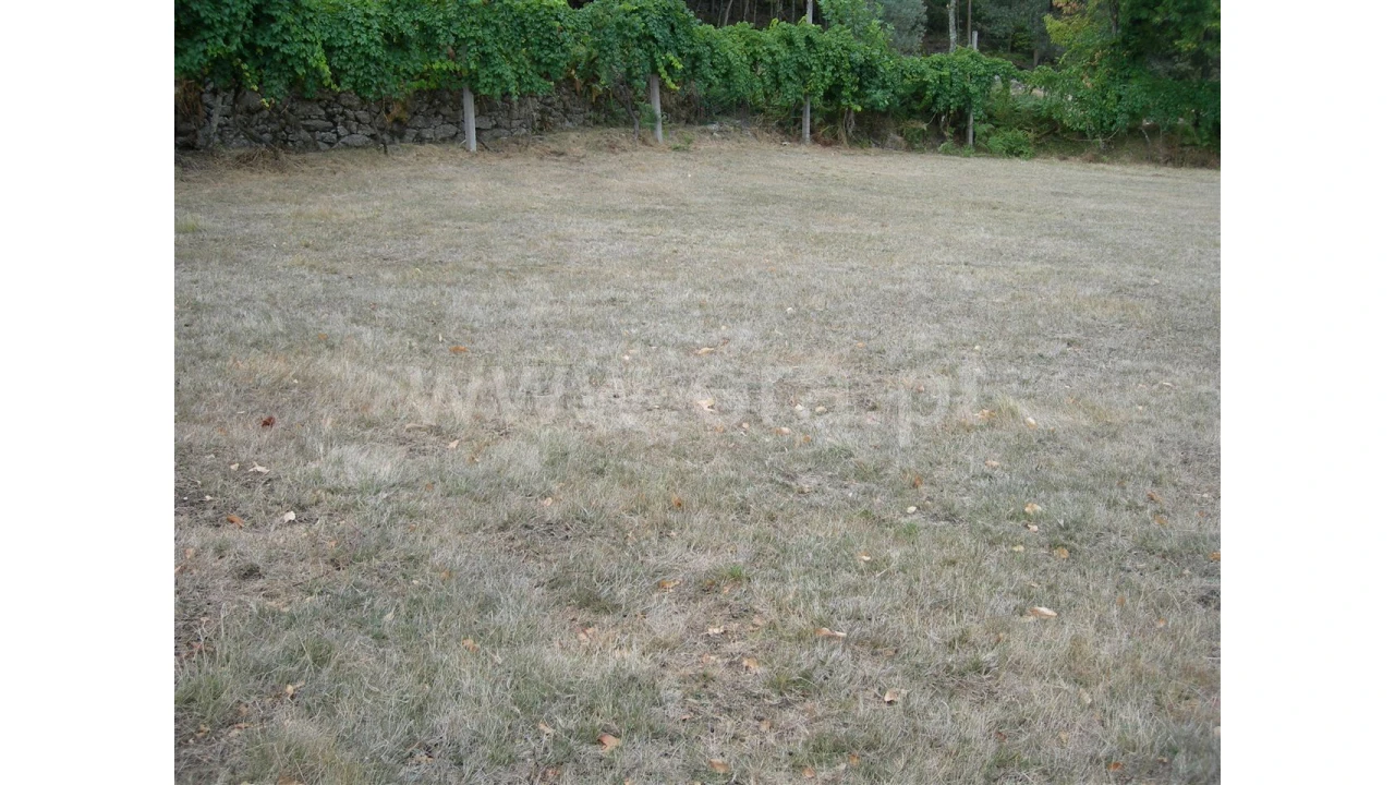 Terreno para Venda em Parada Velha Foto 4