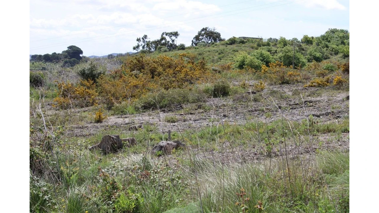 Terreno para Venda em Alenquer Foto 4